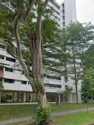 Telok Blangah Rise (Bukit Merah),  #575004921